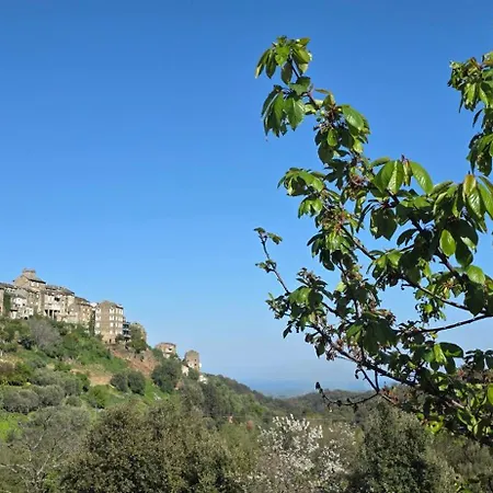 A Casuccia בית נופש Venzolasca